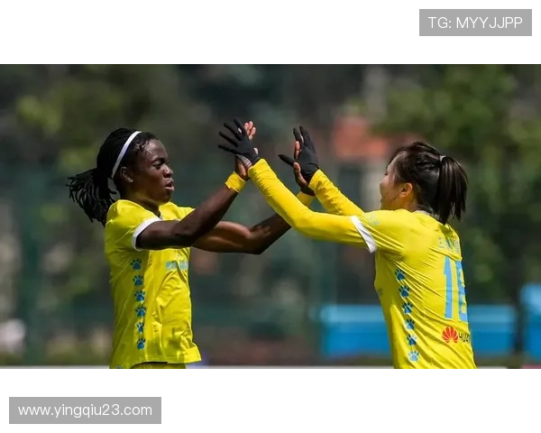 杭州足球队在锦标赛中的节奏表现分析与评价