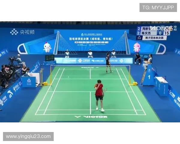 羽毛球专题：深入探讨杭州羽毛球队的实力与发展潜力